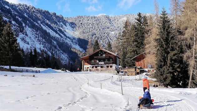 Die letzten Meter zum Berggasthaus verlaufen in ebenem Alm- bzw. Wiesengelände.