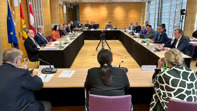 Mittwoch und Donnerstag nahm der U-Ausschuss mit den ersten Befragungen von Auskunftspersonen ...