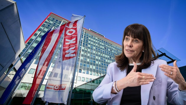 Wirtschaftskammer-Chefin Martha Schultz fordert von der Regierung „mehr Freiheiten für ...