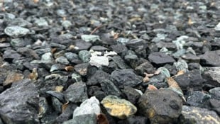 Die Taskforce rät zu Sanierungsmaßnahmen bei belastetem Material.