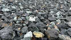 Die Taskforce rät zu Sanierungsmaßnahmen bei belastetem Material.