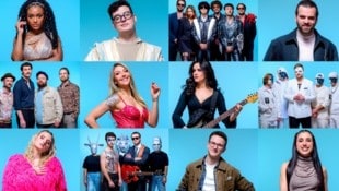 Diese zwölf Kandidaten kämpfen heute Abend bei „Vienna Calling“ um den Einzug für Österreich ins ...