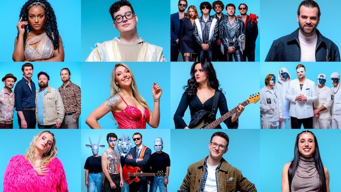 Diese zwölf Kandidaten kämpfen heute Abend bei „Vienna Calling“ um den Einzug für Österreich ins ...