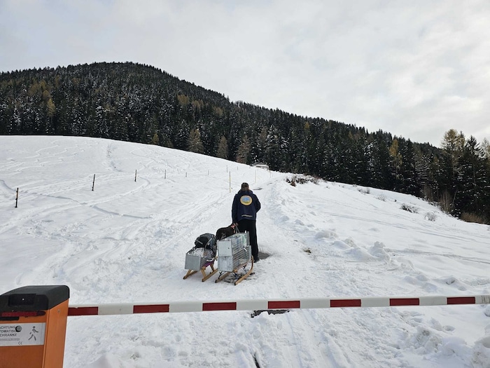 Bei solchen Bedingungen haben Katzen kaum eine Überlebenschance. Erst vor einigen Wochen musste ...