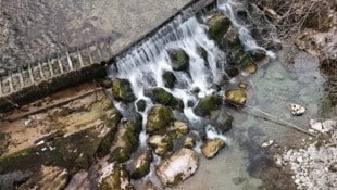 Fische sollen diese Sohlstufe überwinden können.