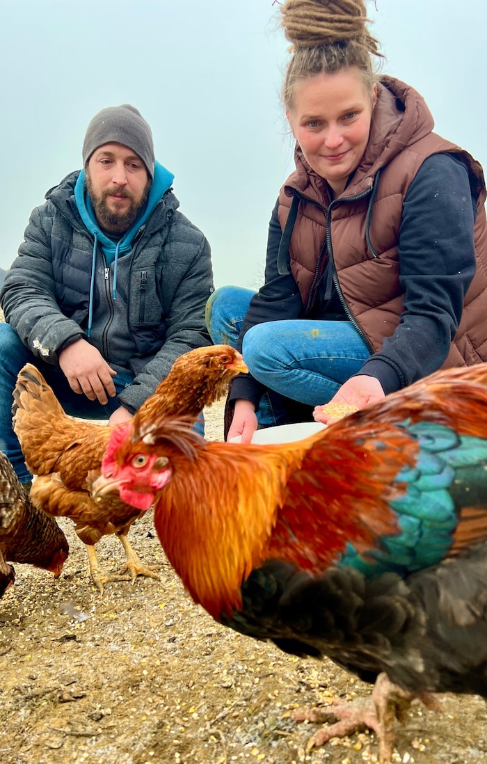 Lisa-Marie und Martin Gollowitsch setzen auf Patenhühner