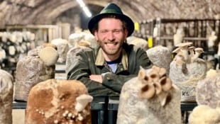 Daniel Konrad zieht Pilze aus dem Schilcherland