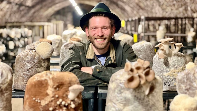 Daniel Konrad zieht Pilze aus dem Schilcherland