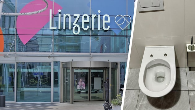 Im Einkaufszentrum Linzerie fehlte in der öffentlichen WC-Anlage plötzlich die Klobrille.
