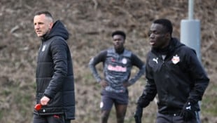 Daniel Beichler (li.) ist gefordert. Doch er allein wird es bei Red Bull Salzburg nicht richten ...