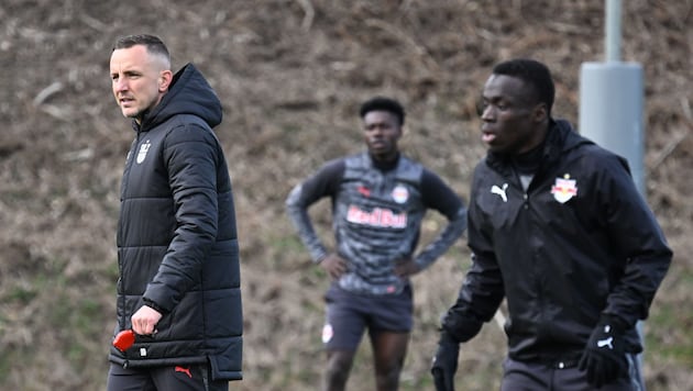 Daniel Beichler (li.) ist gefordert. Doch er allein wird es bei Red Bull Salzburg nicht richten ...