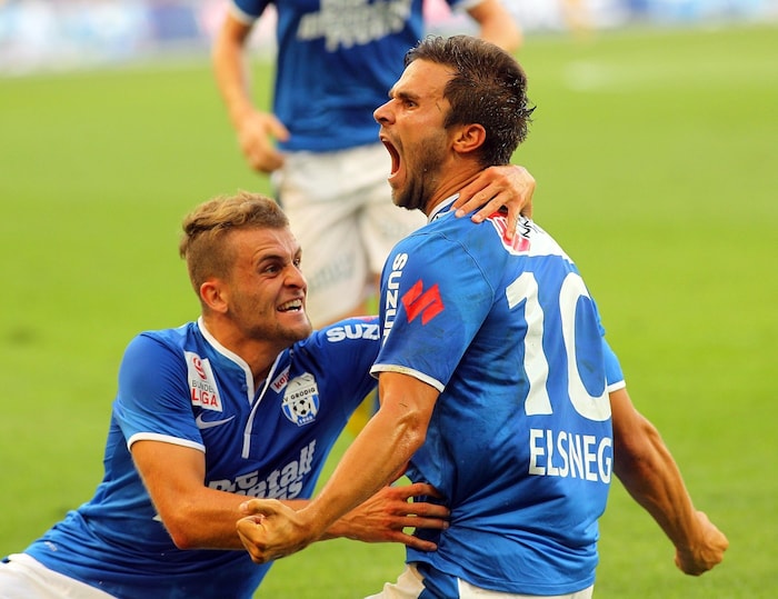 Elsneg lief in der Bundesliga über 200-mal für Ried, Kapfenberg, Grödig und den GAK auf.