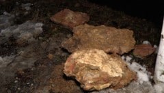 Diese Gesteinsbrocken lösten sich aus dem Hang. 