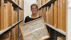 Laura Waldner ist Leiterin der Abteilung Zoologie im kärnten.museum. Die Expertin dokumentiert ...