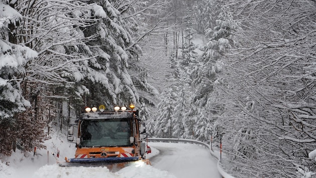 Bis zu 30 Zentimeter Neuschnee fielen in Niederösterreich vom Himmel.