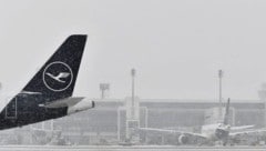 Chaos am Münchner Flughafen führte dazu, dass etwa 500 Passagierinnen und Passagiere eine ganze ...