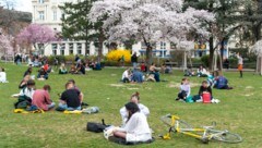 Der Frühling wagt sich in der kommenden Woche aus der Deckung – bald soll es warm werden.