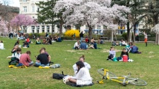 Der Frühling wagt sich in der kommenden Woche aus der Deckung – bald soll es warm werden.