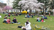 Der Frühling wagt sich in der kommenden Woche aus der Deckung – bald soll es warm werden.