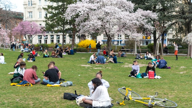 Der Frühling wagt sich in der kommenden Woche aus der Deckung – bald soll es warm werden.