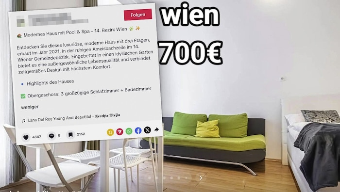 Inseriert werden meist gut gelegene Wohnungen, die wie wahre Schnäppchen aussehen.