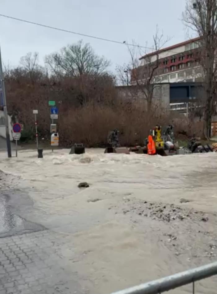Die Straße wurde massiv verunreinigt und zog erhebliche Verkehrsbehinderungen nach sich.
