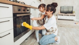 Bei vielen Steirern steht nun wieder der Frühjahrsputz am Programm.