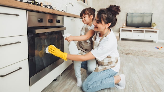 Bei vielen Steirern steht nun wieder der Frühjahrsputz am Programm.