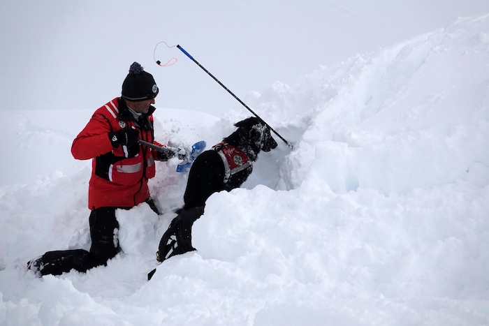 Der Einsatz eines Lawinenhundes kostet 306 Euro extra.