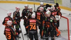 Die 99ers haben in dieser Saison allen Grund zu jubeln.