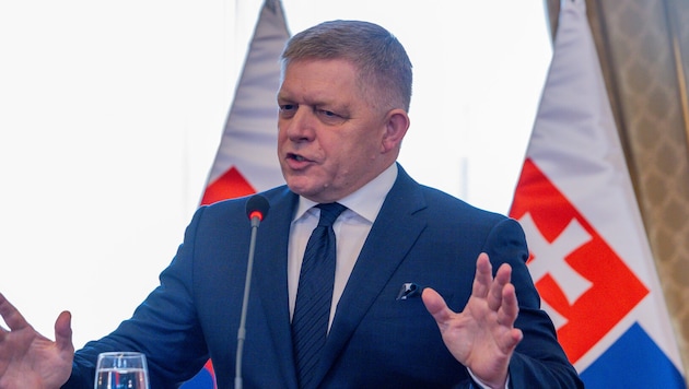 Der slowakische Ministerpräsident Robert Fico hat die Notstromlieferung an die Ukraine stoppen ...