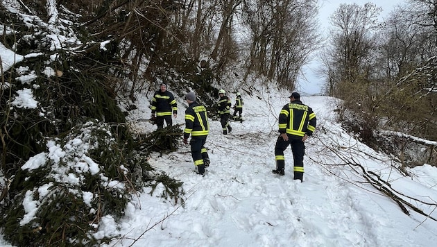 Im Dauereinsatz: Burgenlandweit leisteten mehr als 6000 Feuerwehrleute von Freitag bis Sonntag ...