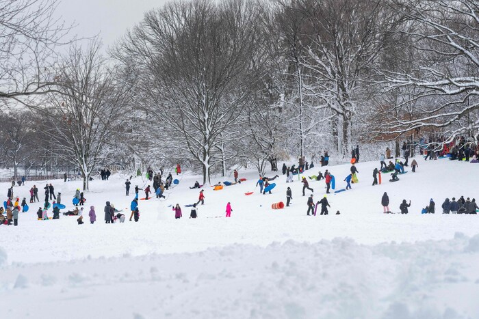 Laut der „New York Times“ gab es im Großraum der Ostküstenmetropole seit dem Winter 2020/21 ...