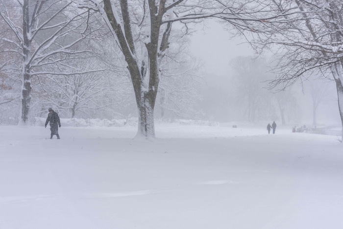 Die Blizzard-Warnung war für mehr als 40 Millionen Menschen ausgesprochen worden. Ein Blizzard ...