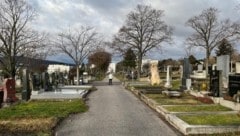 Der idyllisch gelegene Friedhof in Wien-Penzing wurde zum Schauplatz einer unfassbaren Bluttat.