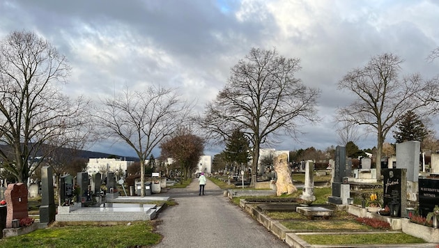 Der idyllisch gelegene Friedhof in Wien-Penzing wurde zum Schauplatz einer unfassbaren Bluttat.