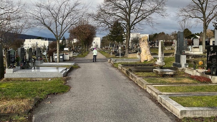 Der idyllisch gelegene Friedhof in Wien-Penzing wurde am Montag plötzlich zum Schauplatz einer ...