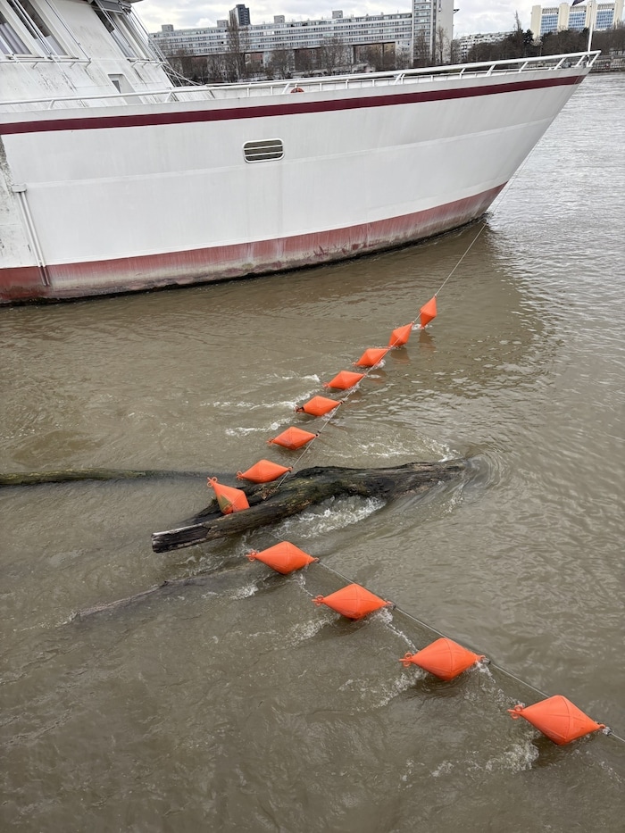 Der Baum war genau ins Tau des Schulschiffes geschwemmt worden.