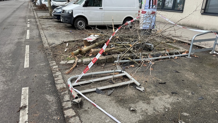 Die Berufsfeuerwehr musste die Reste des ausgerissenen Baumes fällen.