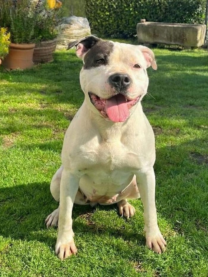 Gibt es neues Glück für Emily?