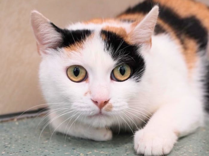 Ich brauche doch nur ein wenig Geduld!