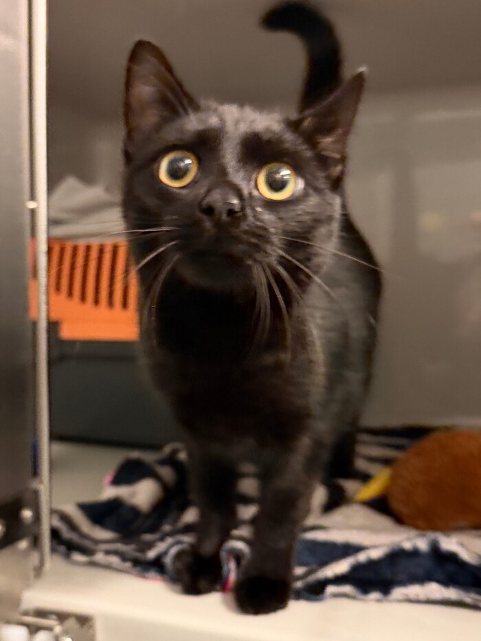 Is no one missing me in Hartberg?