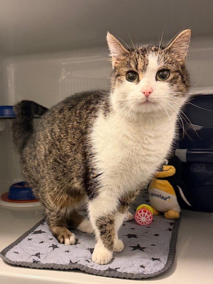 When will you take me home?