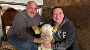 Kalb „Paule“ mit Landwirt Johann und Tochter Johanna im Stall