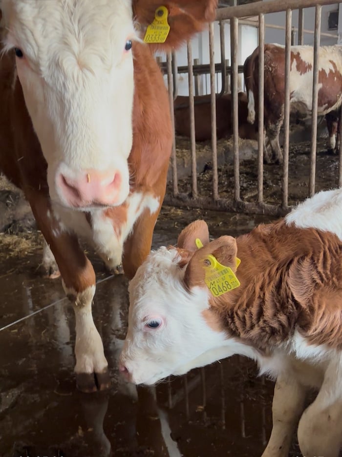 Mutter „Lea“ und „Paule“ sind vereint.
