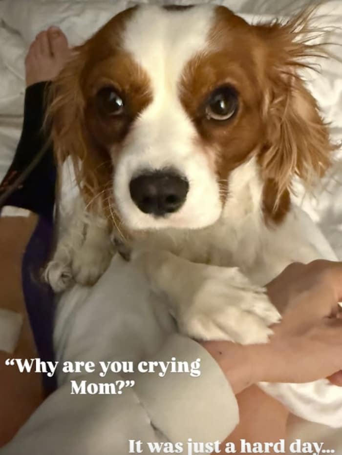 LIndsey Vonn hat Hündchen Chance wieder an ihrer Seite!