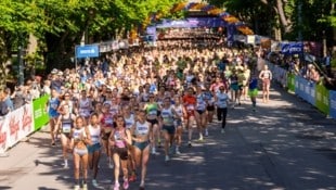 Der 38. ASICS Österreichische Frauenlauf findet am 31. Mai 2026 in der Wiener Prater Hauptallee ...