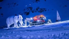 Die „Elefanten“ überqueren die Alpen am Rettenbachferner.
