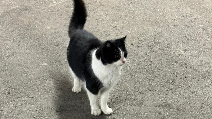 Möchte nach Hause in mein feines Nestchen!