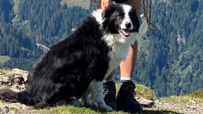 Ist „Penny“ alleine weiter gewandert?